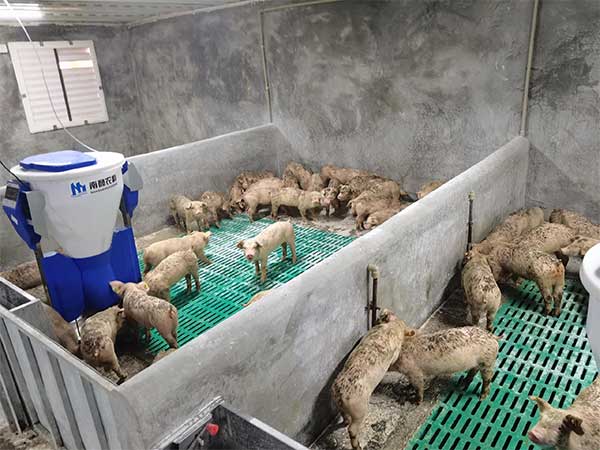 500頭母豬的養豬場全套設備那里賣的，多少錢一套？