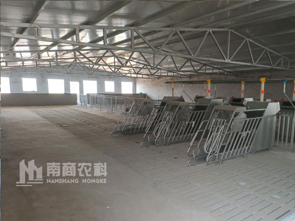 智能精準(zhǔn)飼喂系統(tǒng)助力豬場飼料成本控制