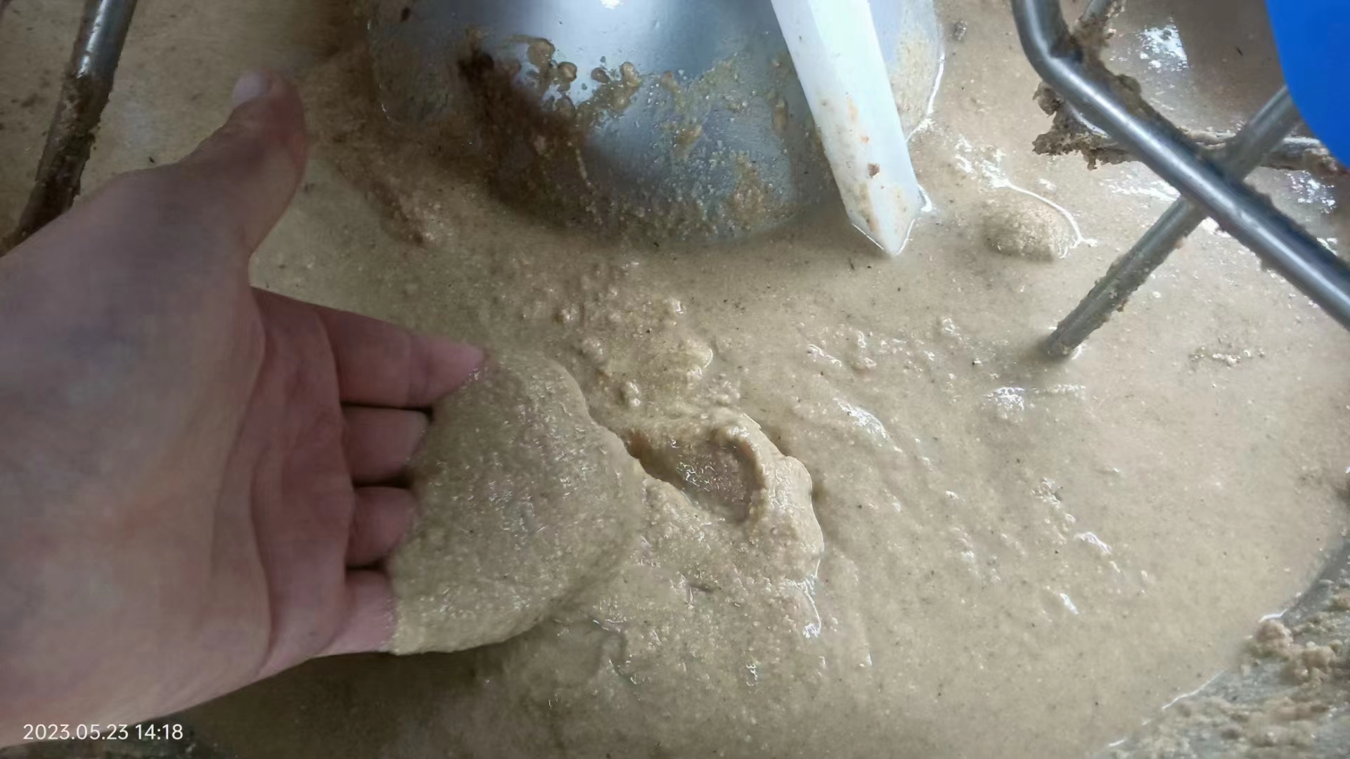 實拍圖