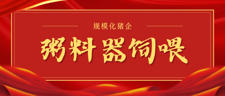 為什么粥料器喂養更適合大多數規模化豬企
