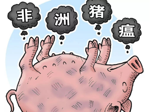 非洲豬瘟能通過粉塵傳播嗎？