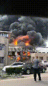 微信圖片_20200417151024.gif
